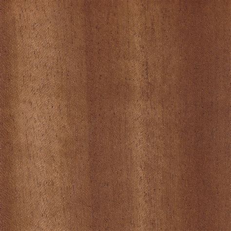 African Walnut