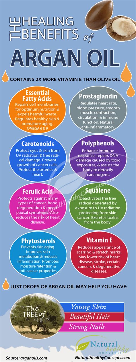 Argan Oil Benefits Infographic