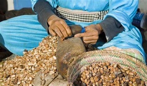 Argan Oil Extraction