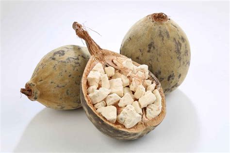 Baobab Fruit
