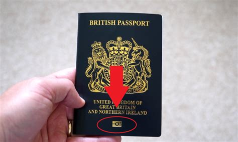 Biometric Passport Symbol