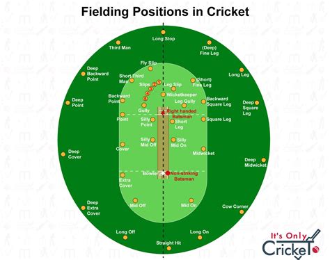 Cricket Positions