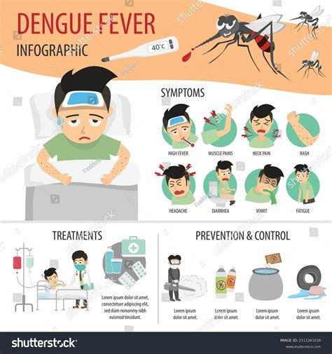 Dengue Fever Infographic
