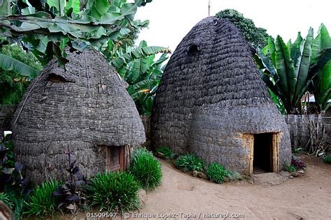 Dorze Huts