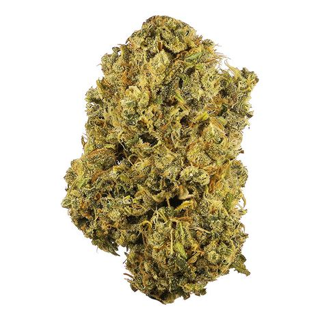Durban Poison
