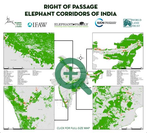 Elephant Wildlife Corridor