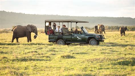 Game Drive Safari