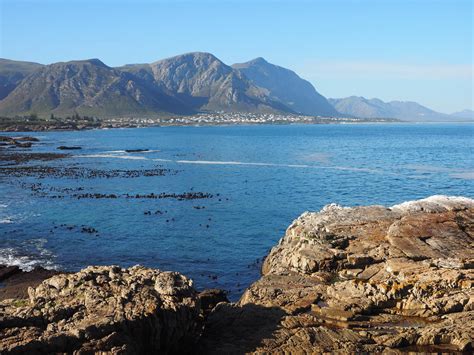 Hermanus Cliff Path