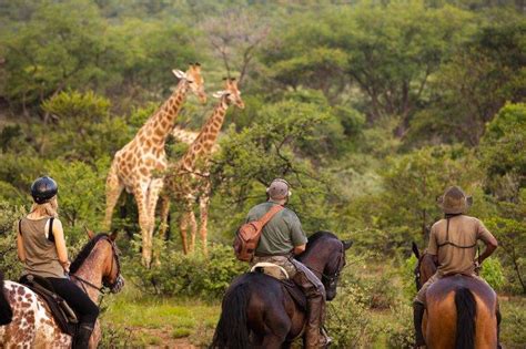 Horseback Safari
