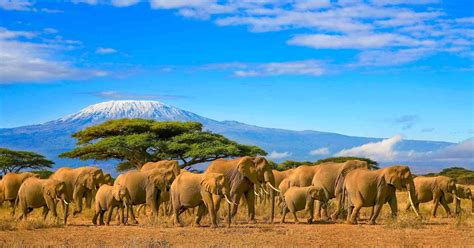 Kenya landscape