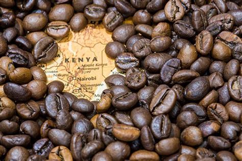 Kenyan Coffee Beans