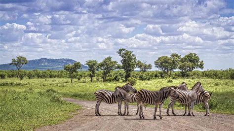 Kruger National Park
