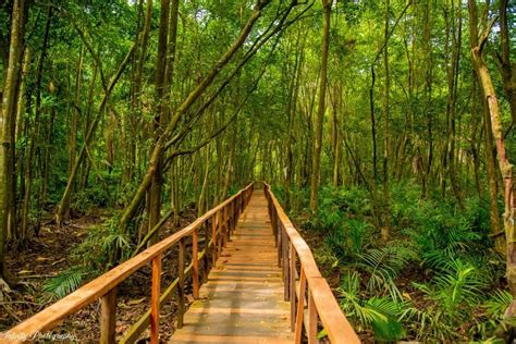 Lekki Conservation Centre, Lagos