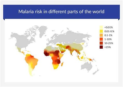 Malaria Risk Areas Worldwide