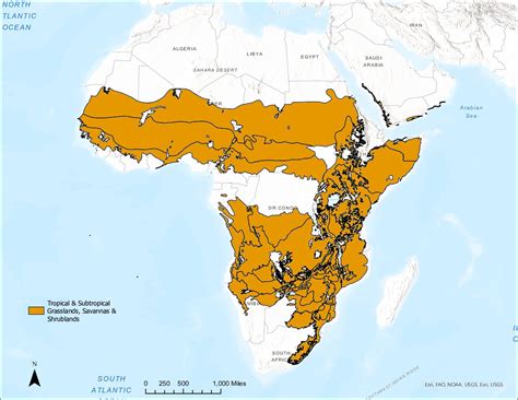 Map of tropical savannas in Africa