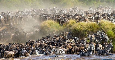 Masai Mara
