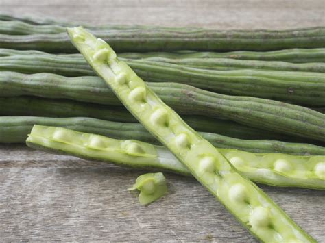 Moringa Fruit