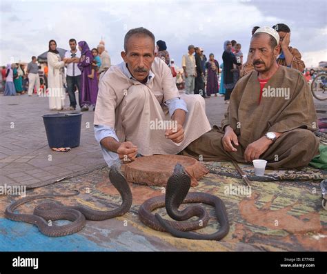Snake Charmers in Marrakech