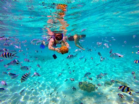 Snorkeling in Mauritius