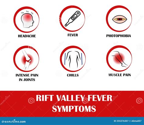 Symptoms of Rift Valley Fever