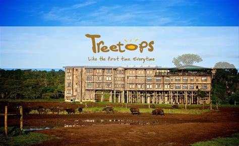 Treetops Hotel Rebuilt