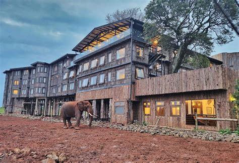 Wildlife Viewing at Treetops Hotel